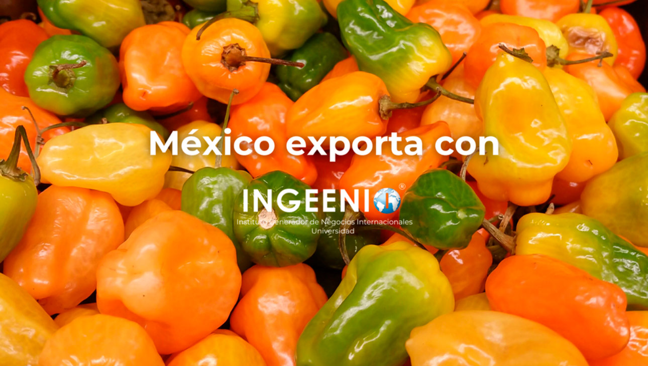 slide_mexico-exporta_ingeenio_02