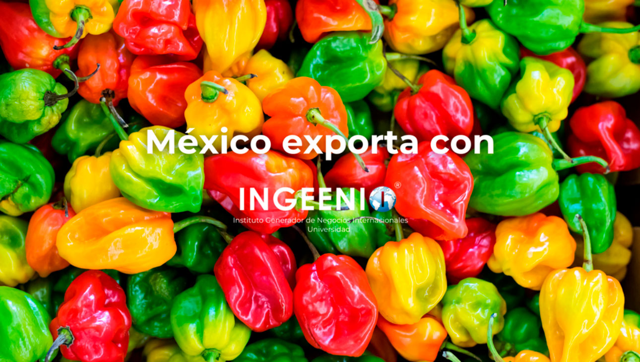 slide_mexico-exporta_ingeenio_08