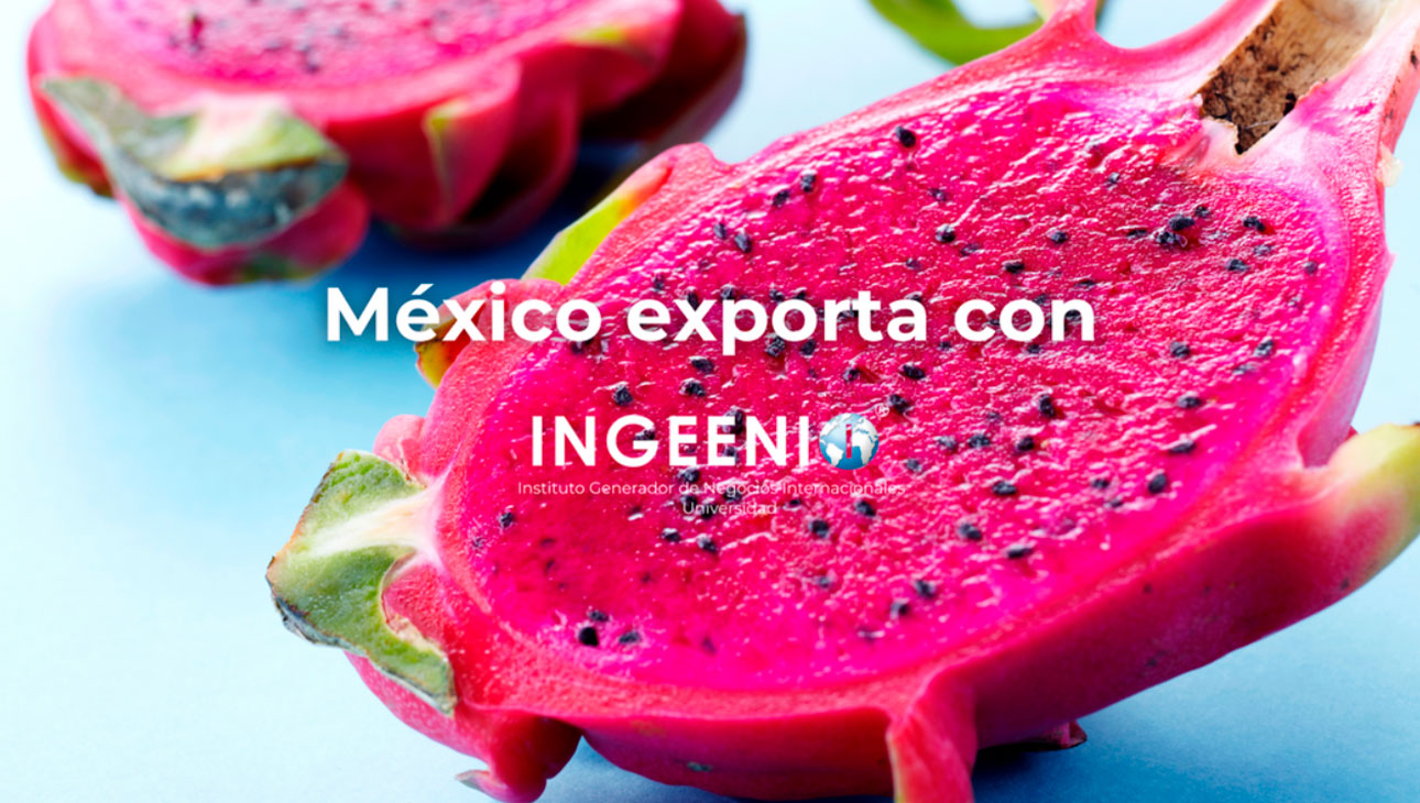 slide_mexico-exporta_ingeenio_10